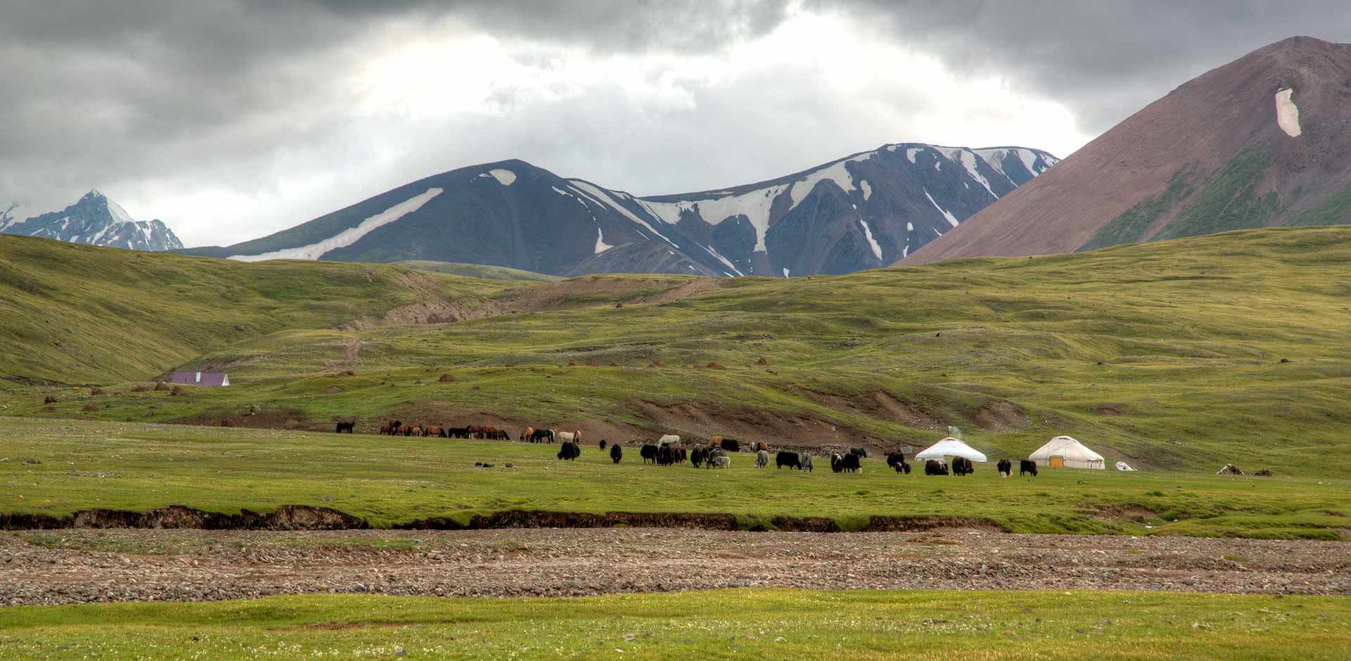 Tuvan nomads