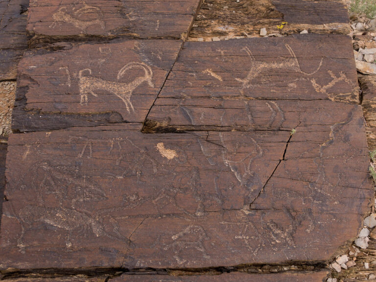 Petroglyphs in Mongolia