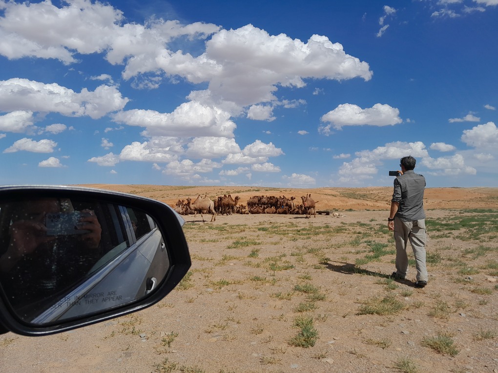 Gobi desert in Mongolia