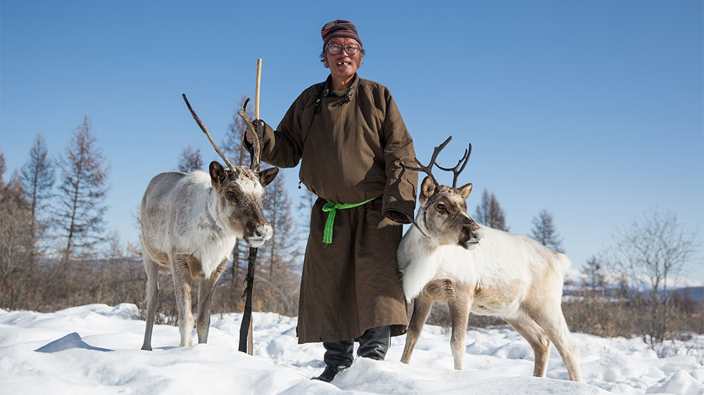 Reindeer herders