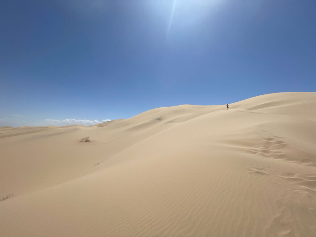 Khongor sand dunes