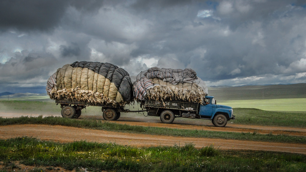 Mongolian nomads