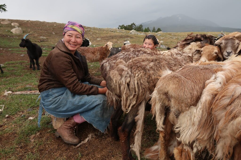 Mongolian nomads