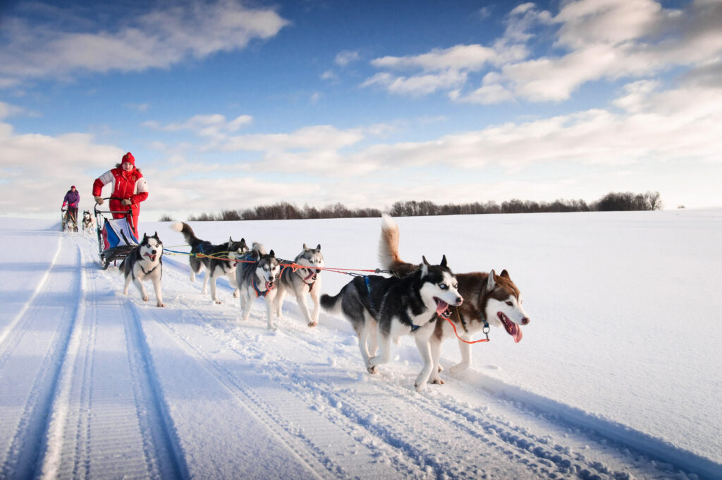 Mongolian winter tours